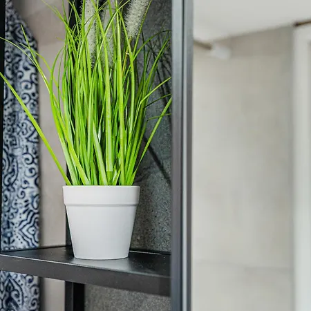 Apartment Secret Charming With Ac *